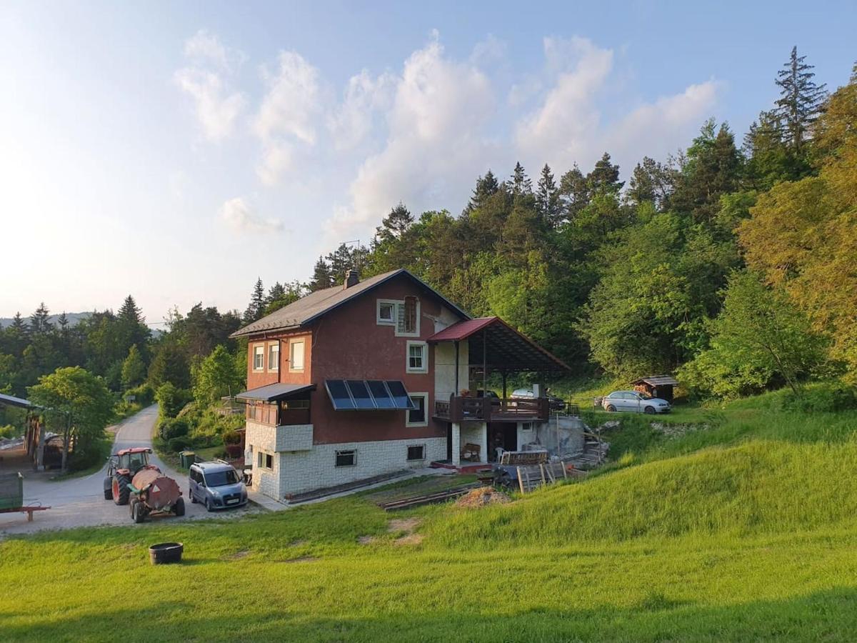 Apartma Narava Begunje pri Cerknici Dış mekan fotoğraf