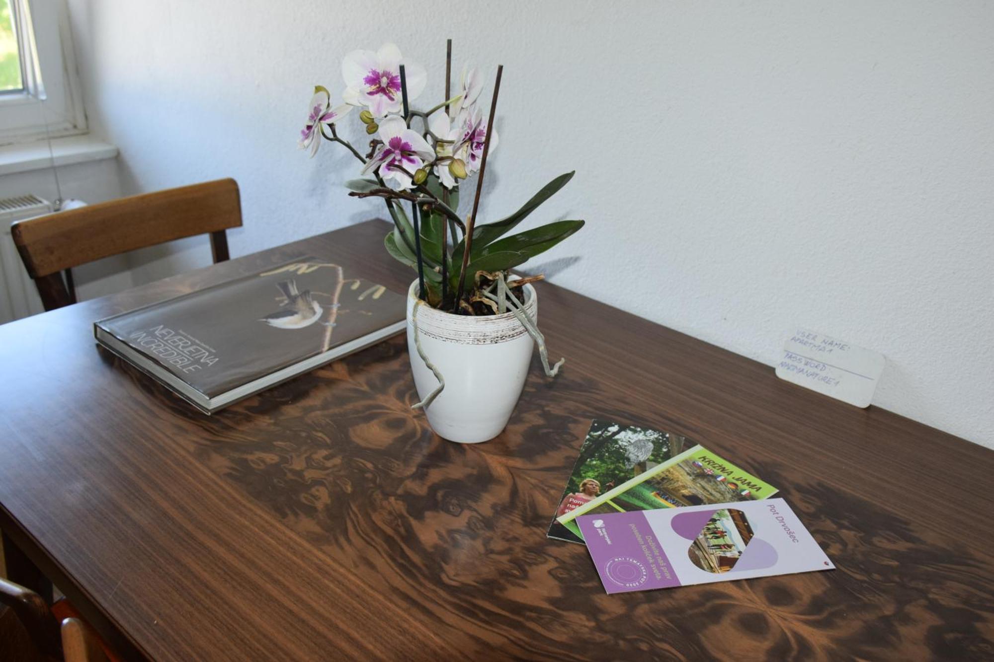 Apartma Narava Begunje pri Cerknici Oda fotoğraf